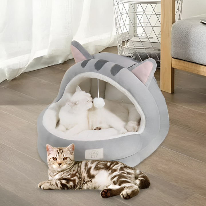 Choosing the Perfect Pet Bed