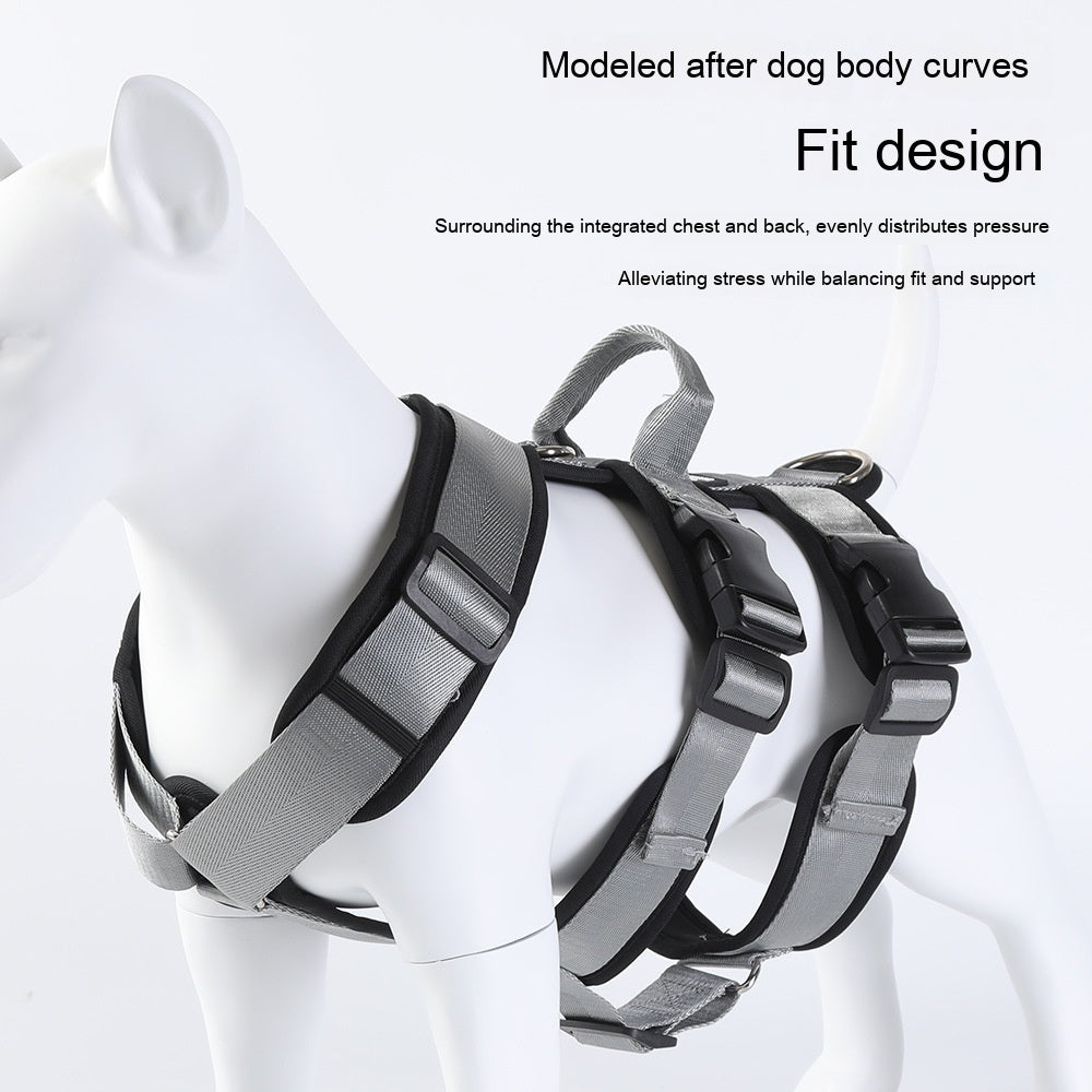 Pet Large Corgi Special Dog Leash