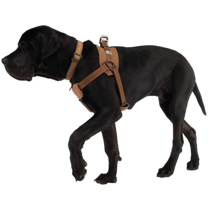 Dog Safety Training Belt Hand Holding Rope
