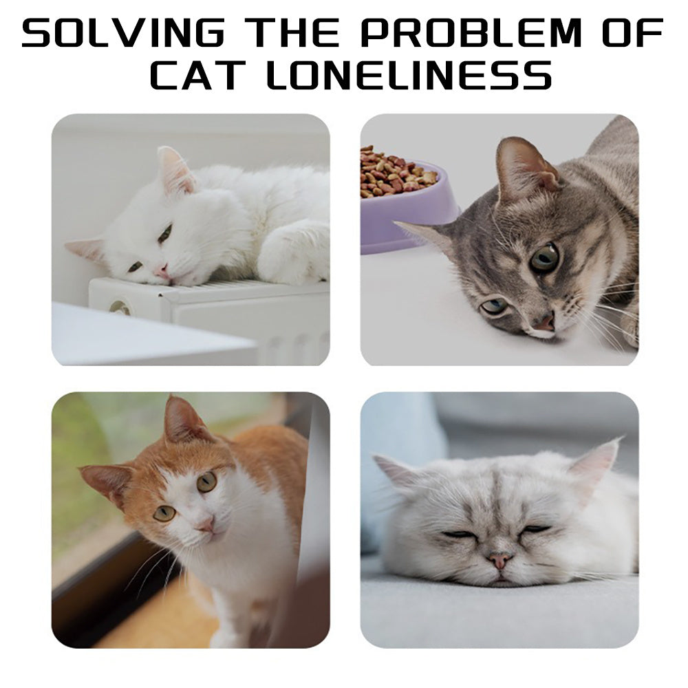 Dog Knots Chew Rope Toy