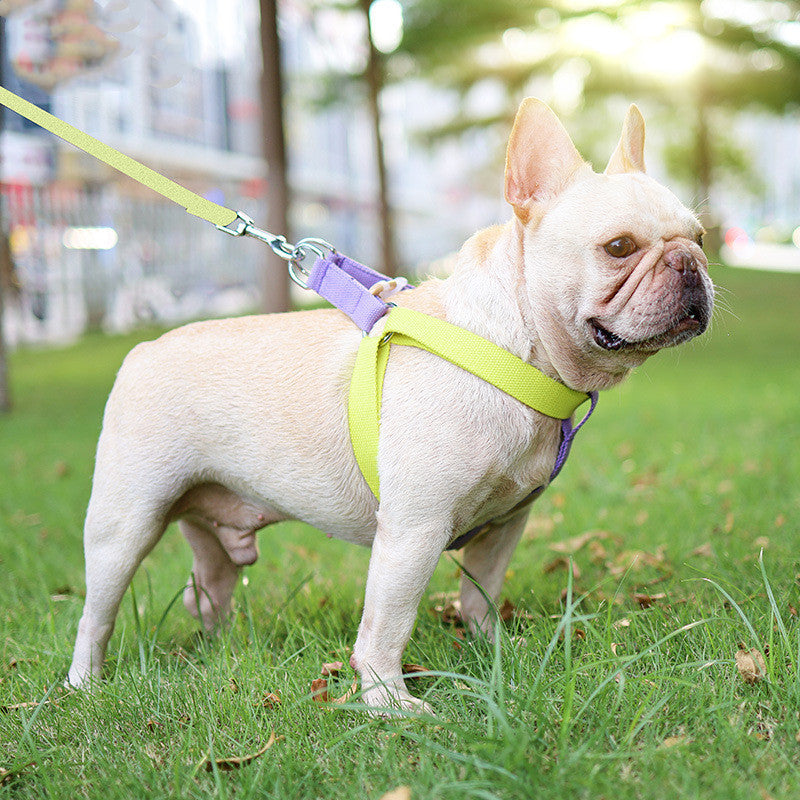 Pet Drawstring Vest-style Dog Leash