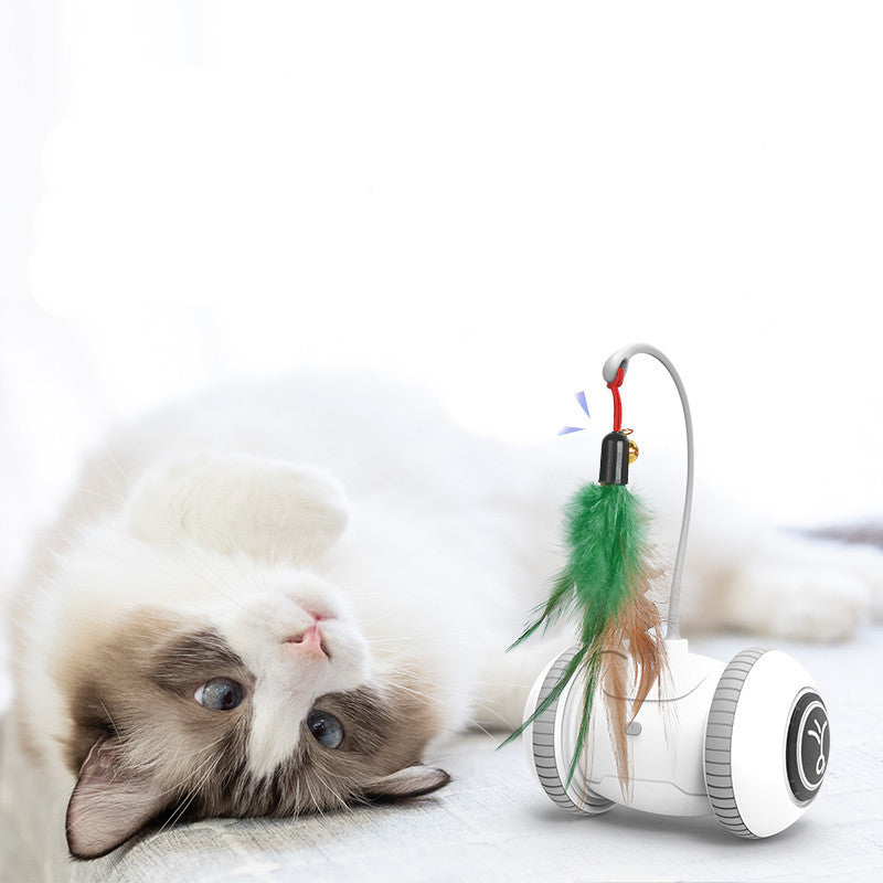 Interactive Cat Toy With Pet Feather Toys