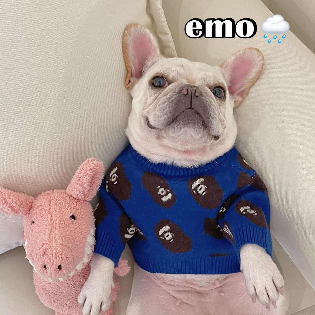 Pet Trendy Brand Popular Clothes