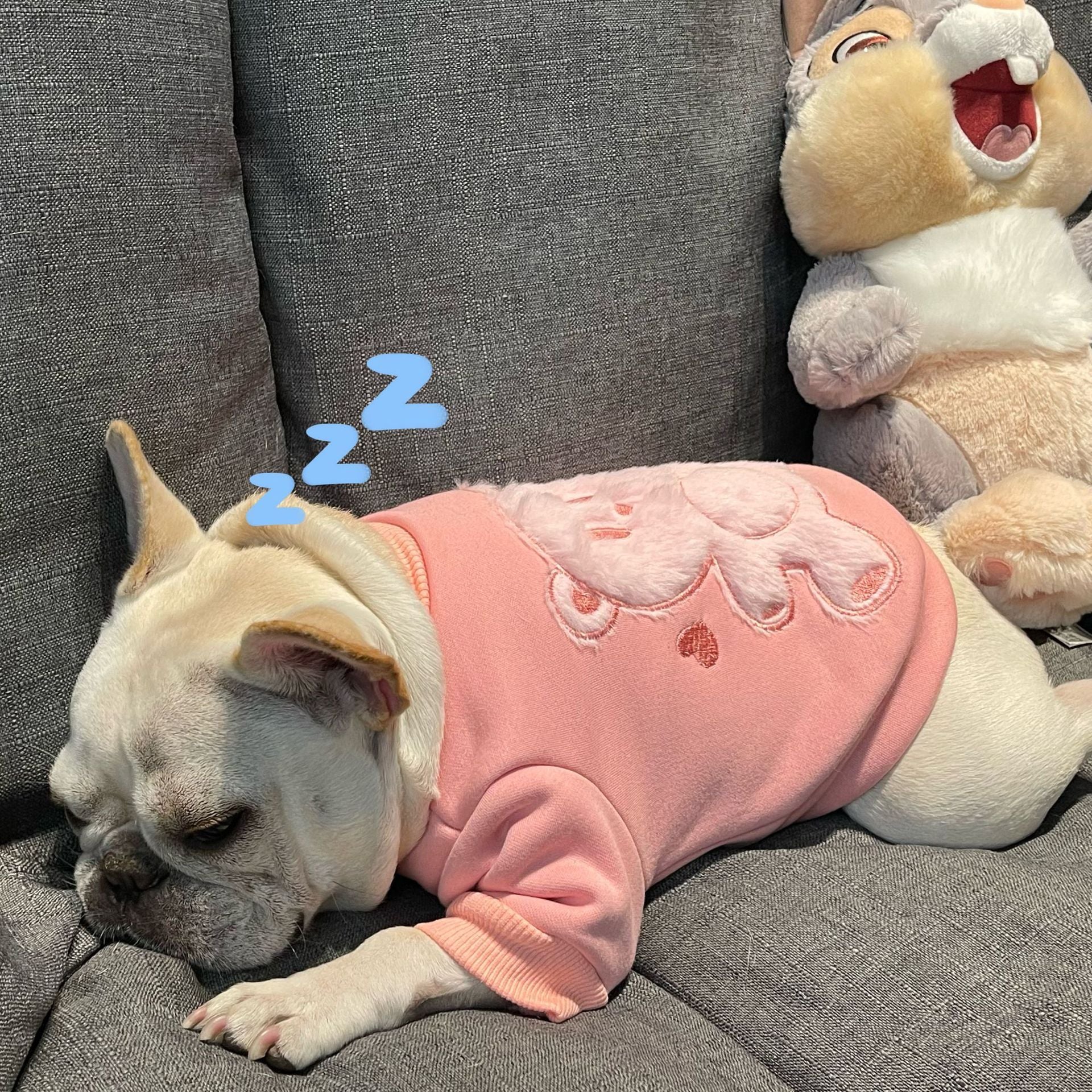 Pet Dog Plush Princess Sweater