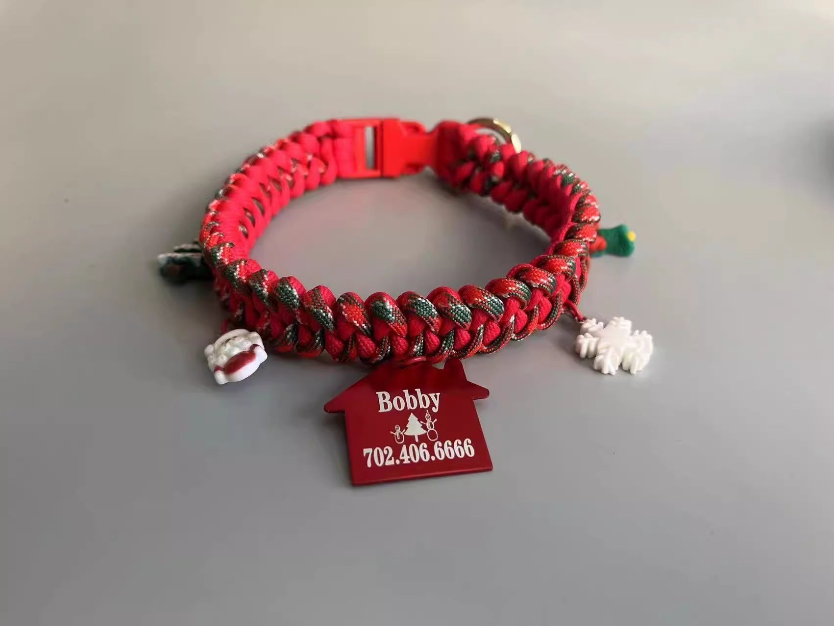 Hand Holding Chain Dog Leash Pet
