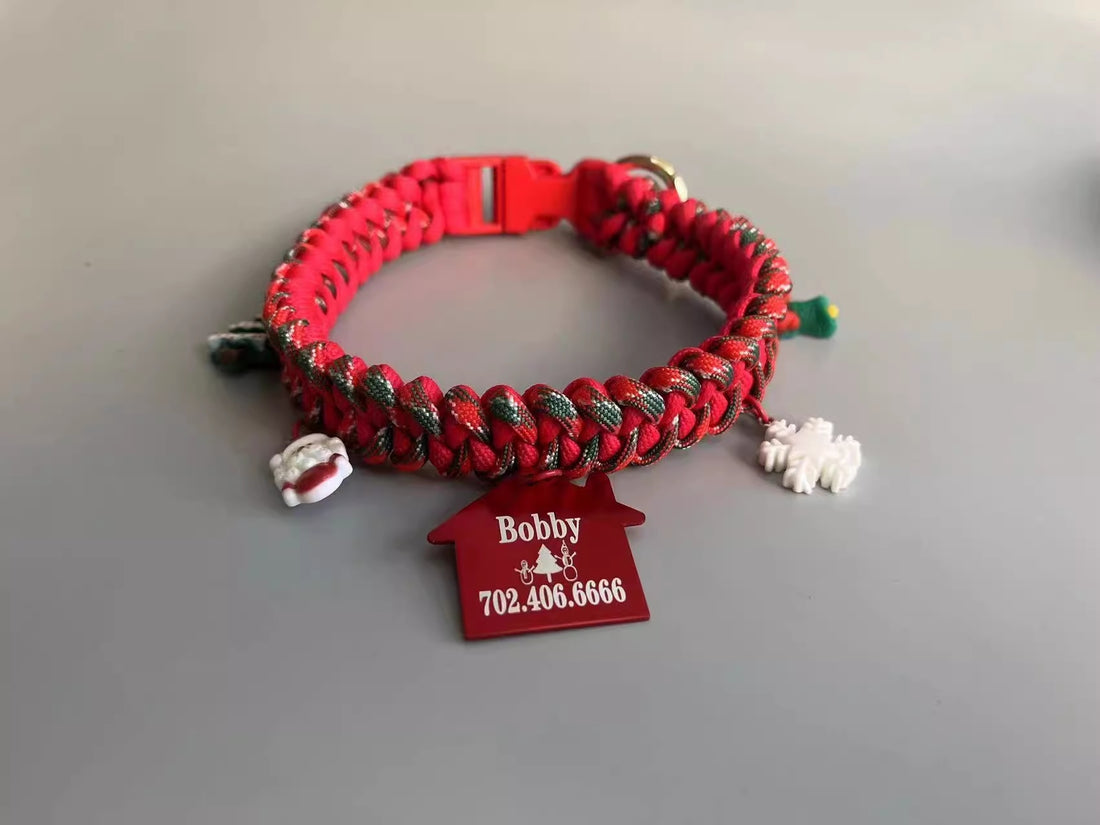 Hand Holding Chain Dog Leash Pet
