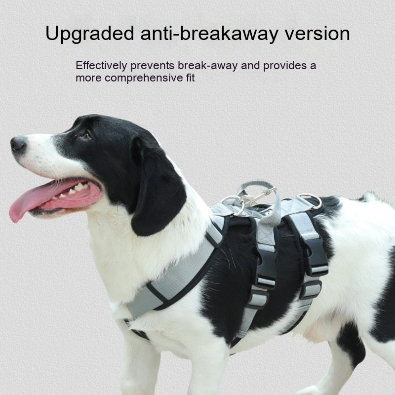 Pet Large Corgi Special Dog Leash