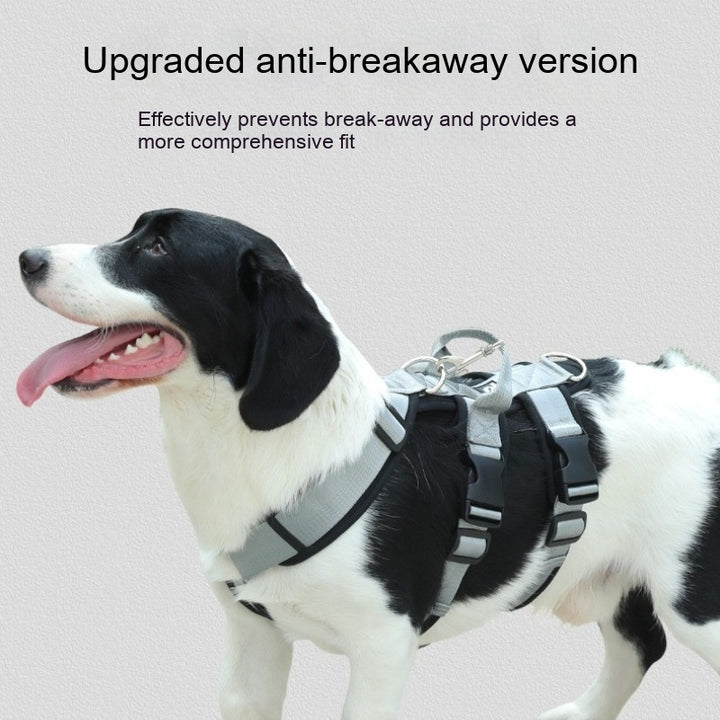 Pet Large Corgi Special Dog Leash