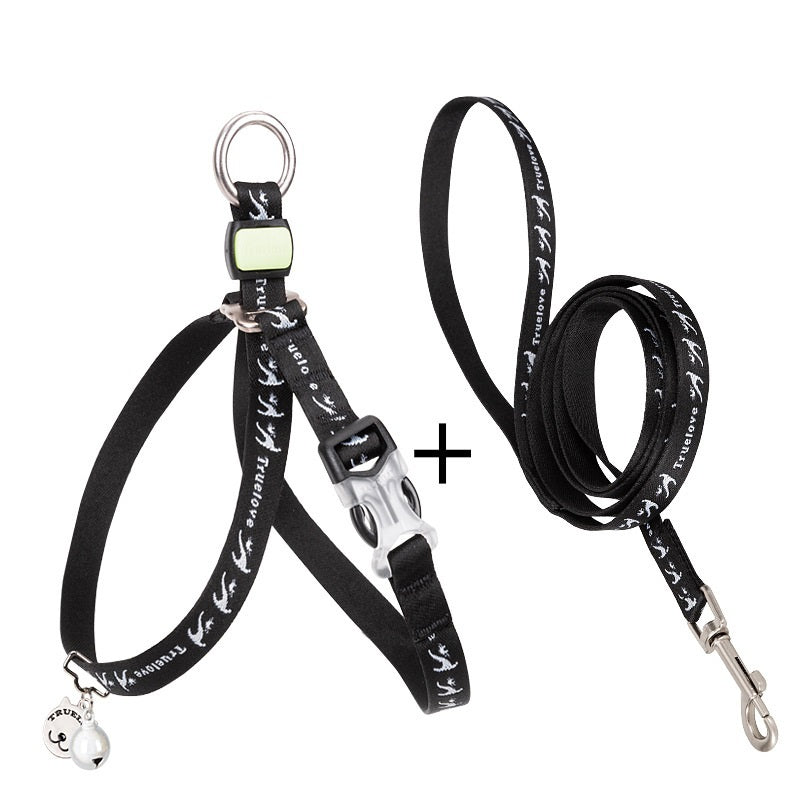 Small Dog Teddy Leash