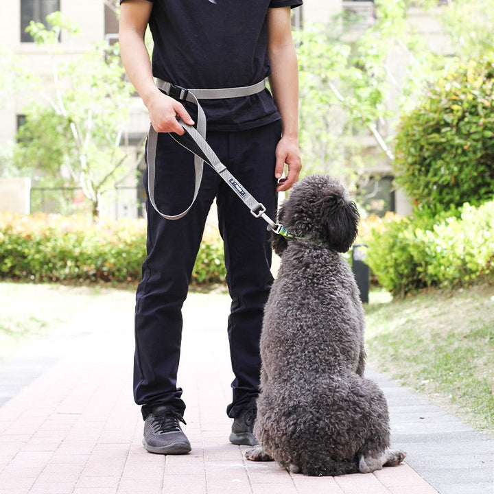 Multi-functional Traction Running Dog Leash
