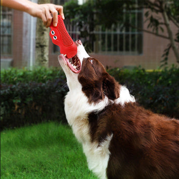 Pet Resistant Teeth Chewing Dog Toys
