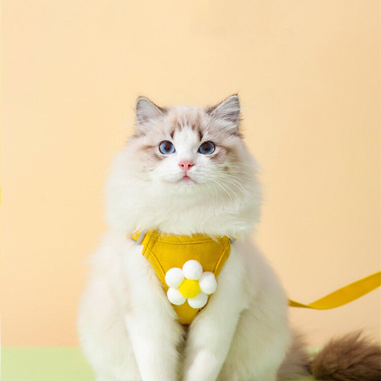 Cat Leash Anti-breakaway Chest Harness