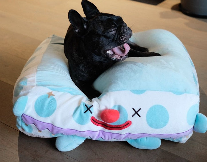 Clown In A Cozy Pet Bed