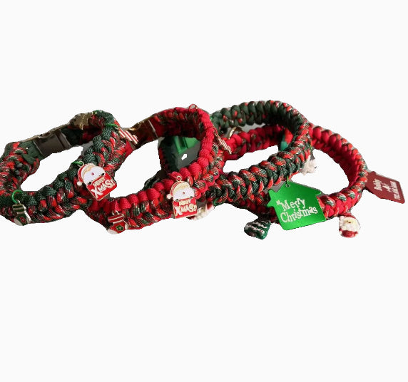 Hand Holding Chain Dog Leash Pet