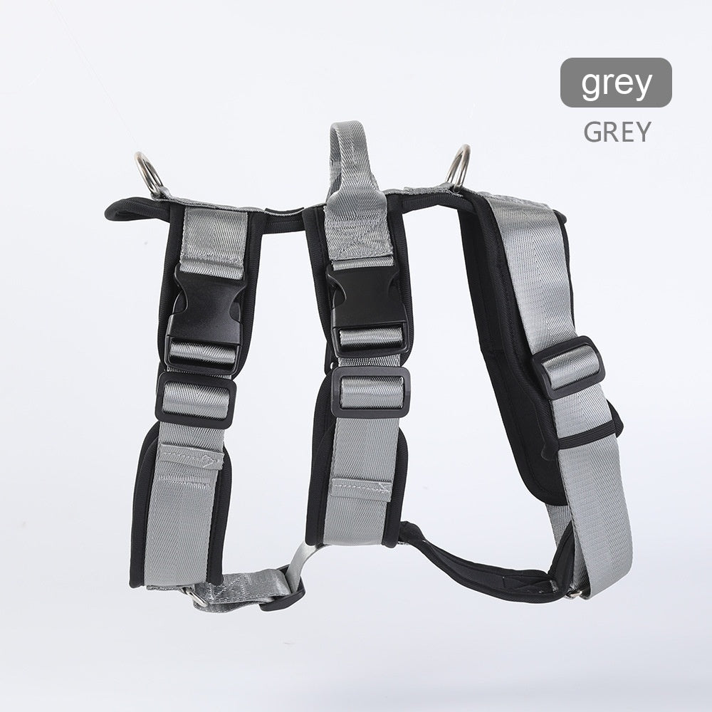 Pet Large Corgi Special Dog Leash