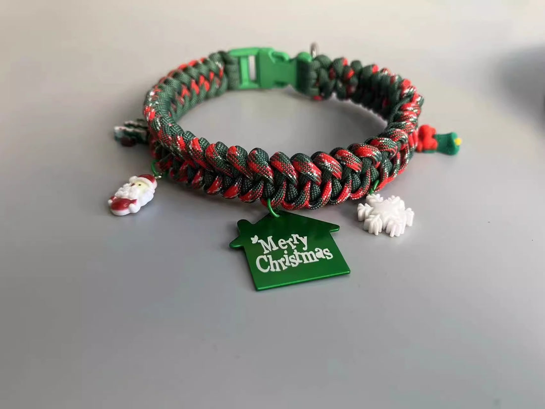 Hand Holding Chain Dog Leash Pet