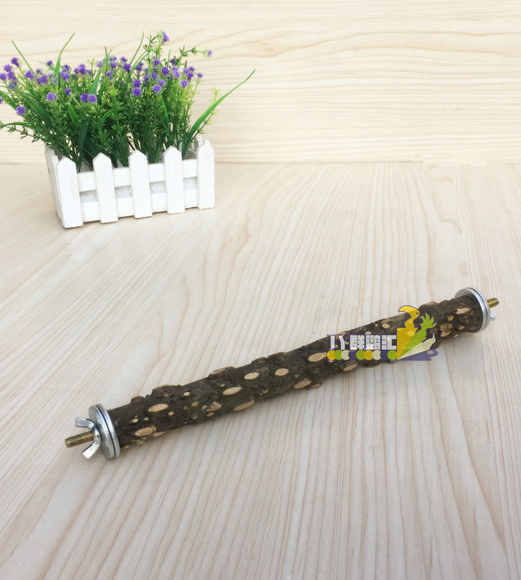 Take-away Cage Parrot Outing Package Travel