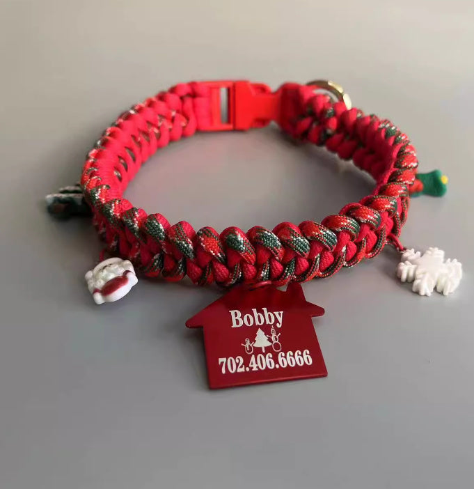 Hand Holding Chain Dog Leash Pet