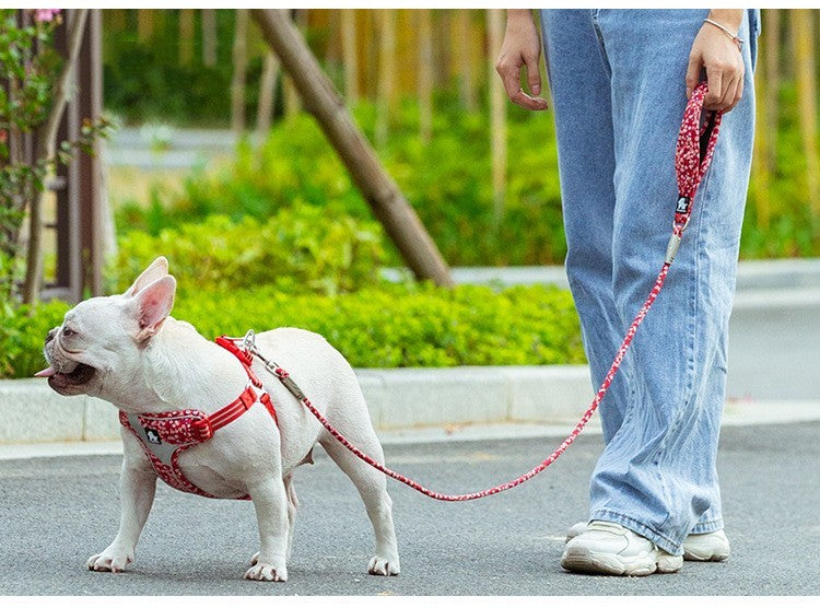 Outdoor Pet Dog Floral Holding Rope