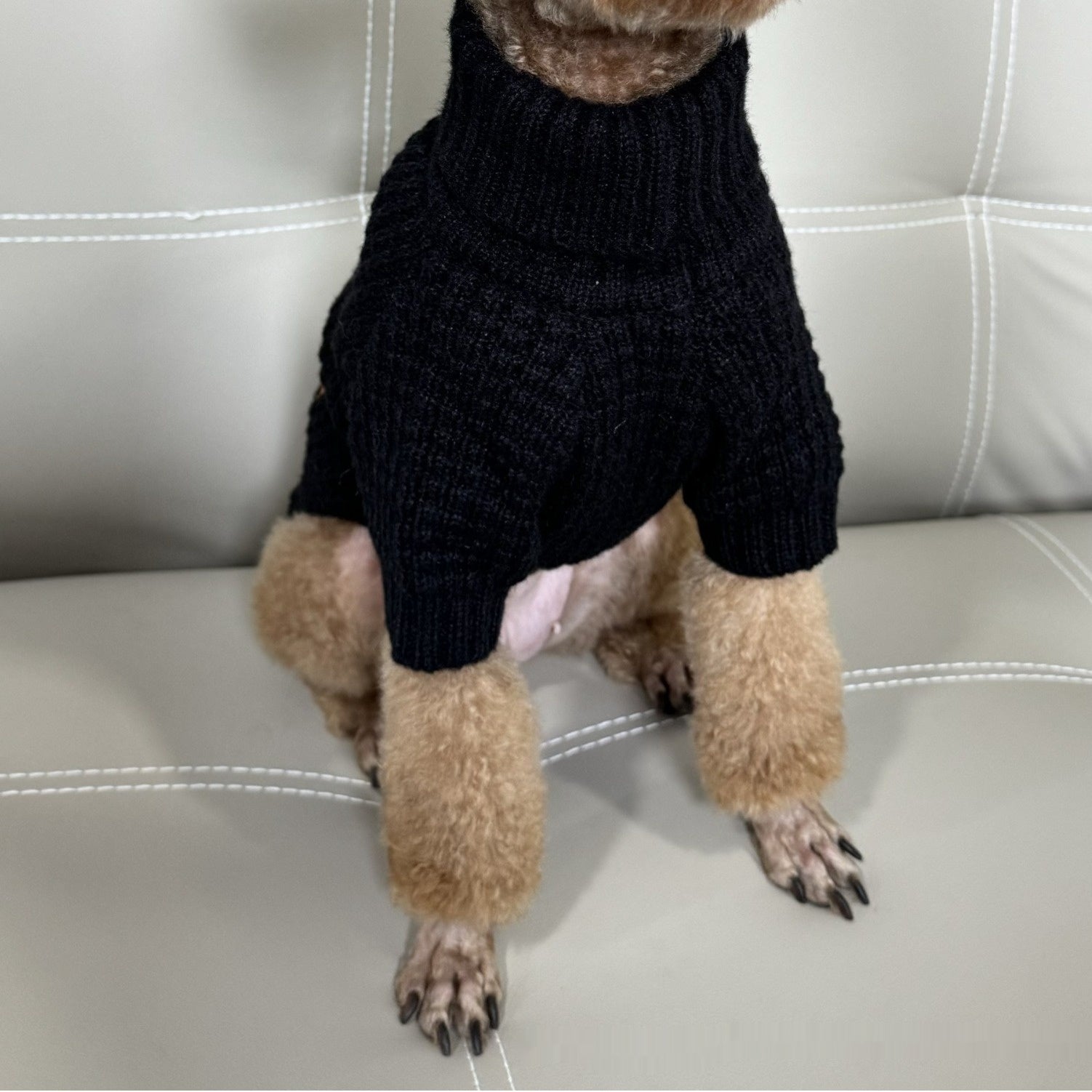 Pet Turtleneck Knitting Sweater
