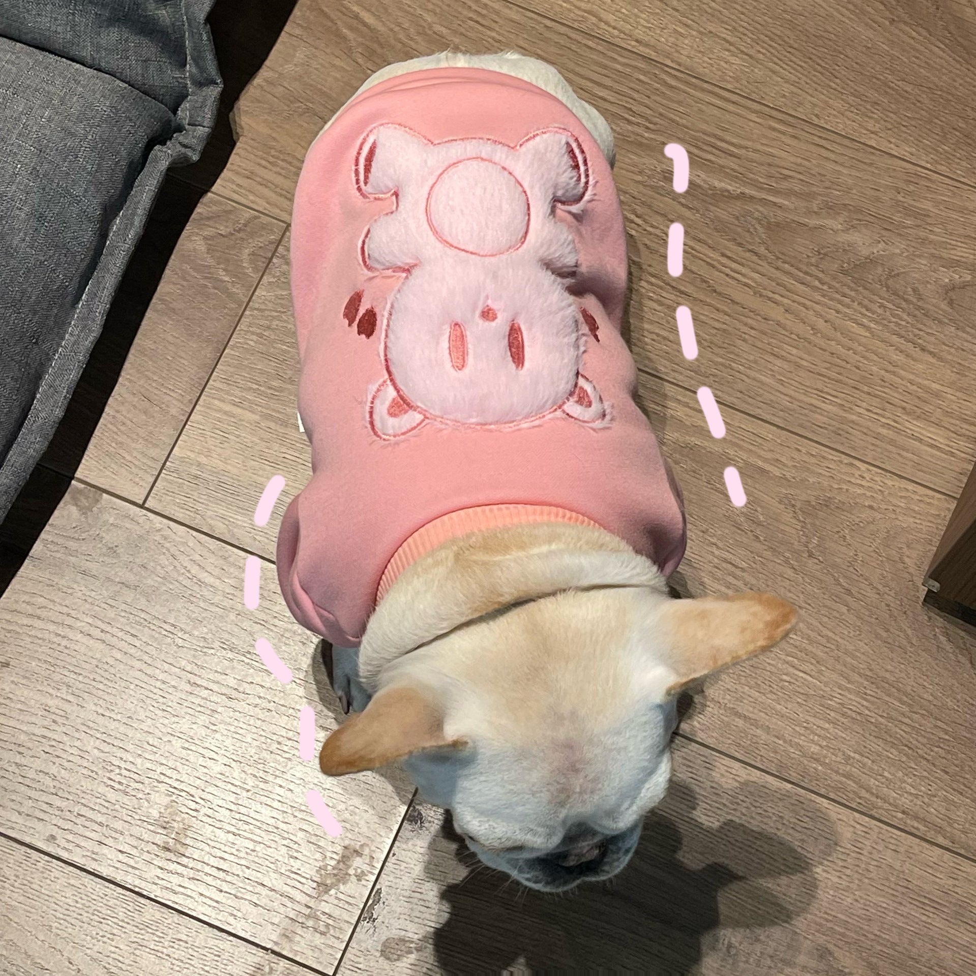 Pet Dog Plush Princess Sweater