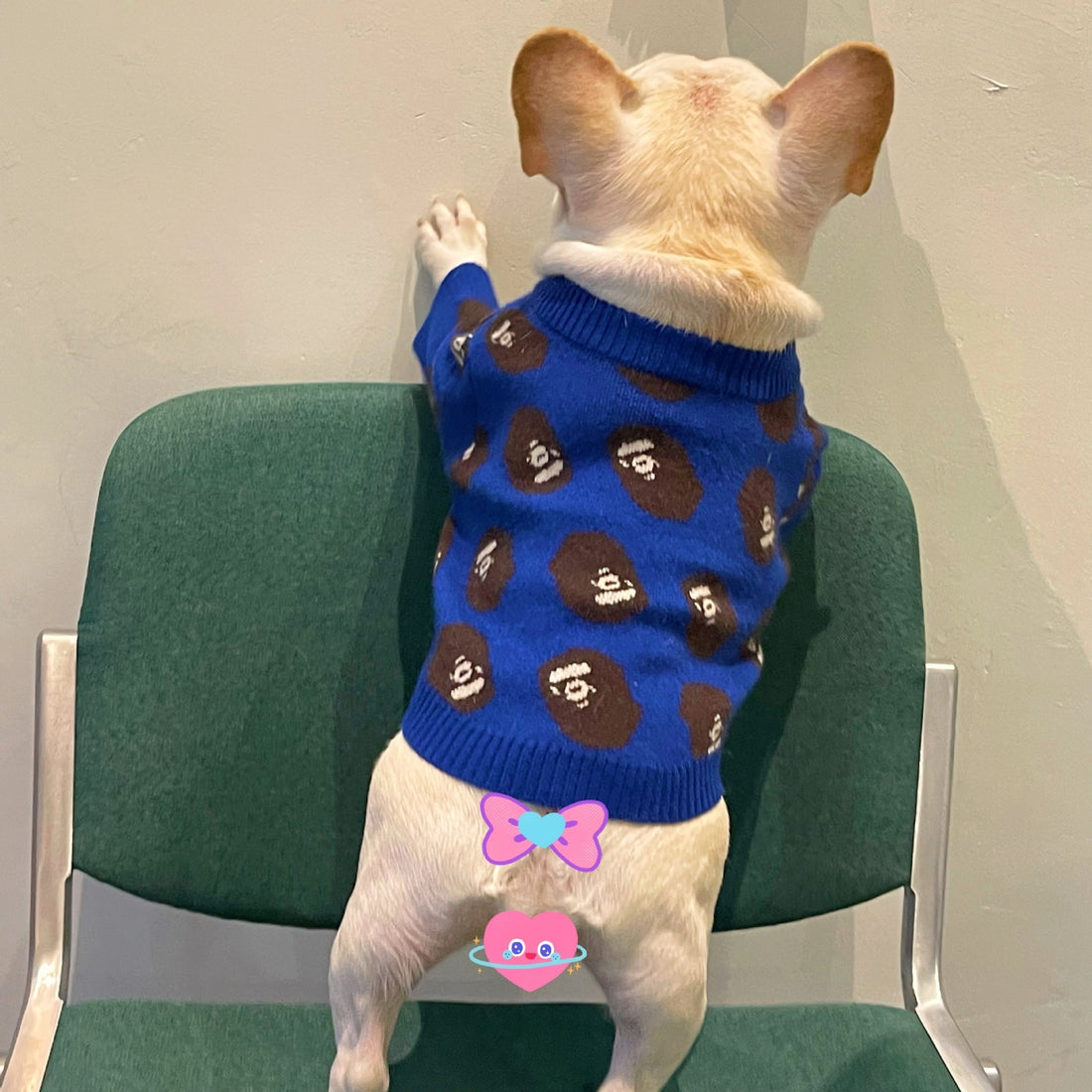 Pet Trendy Brand Popular Clothes