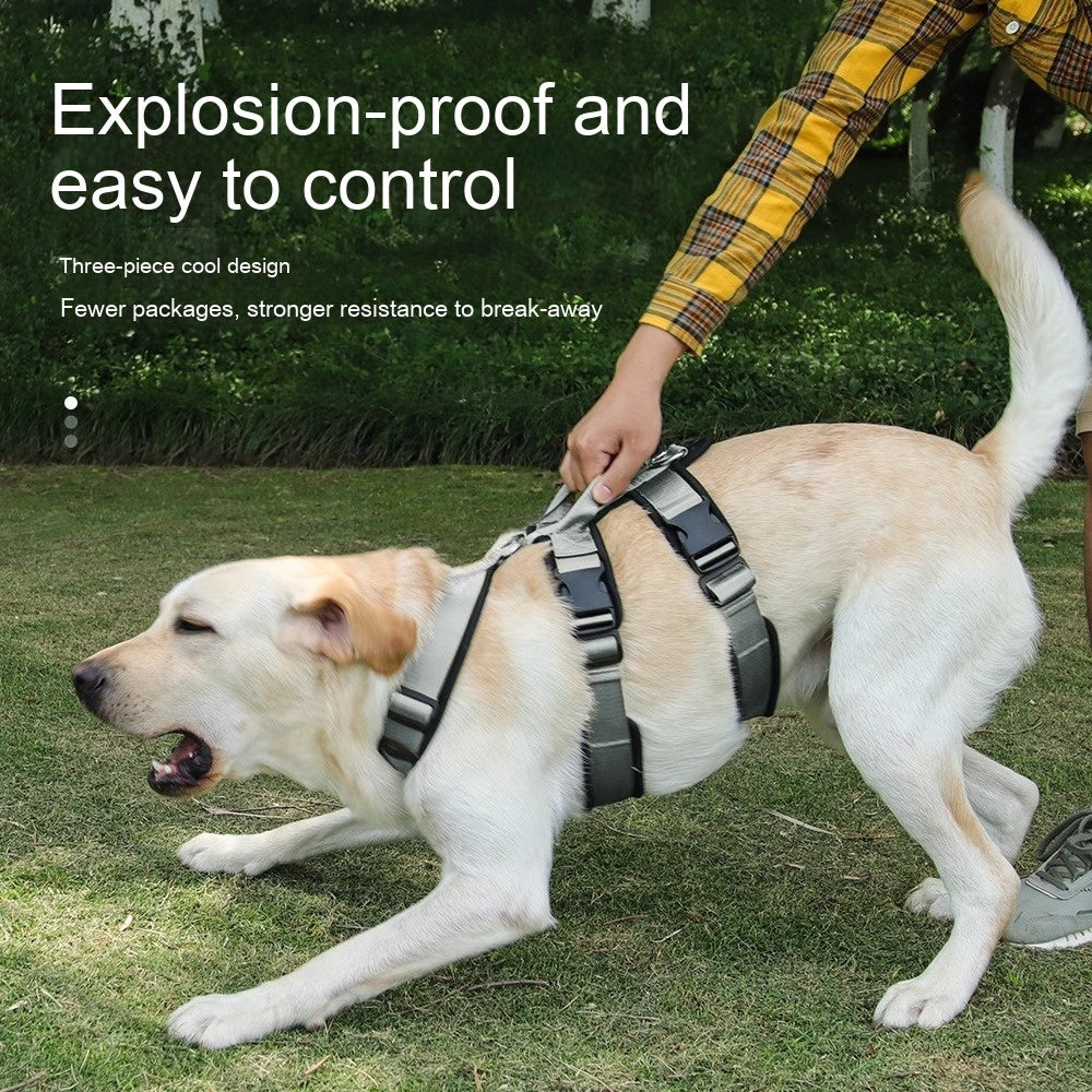 Pet Large Corgi Special Dog Leash