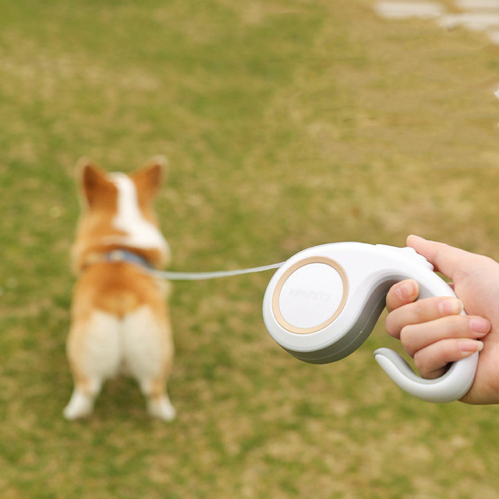 Pet Supplies Automatic Retractable Leash
