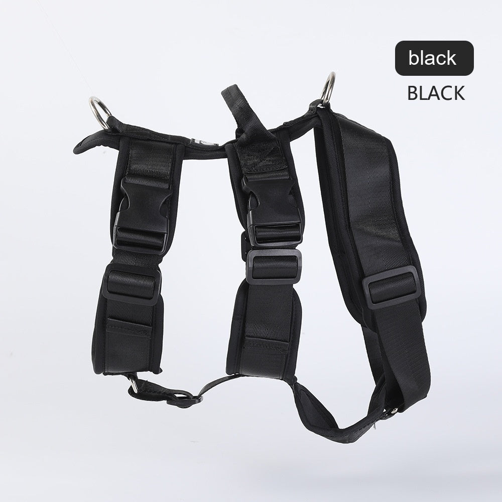 Pet Large Corgi Special Dog Leash