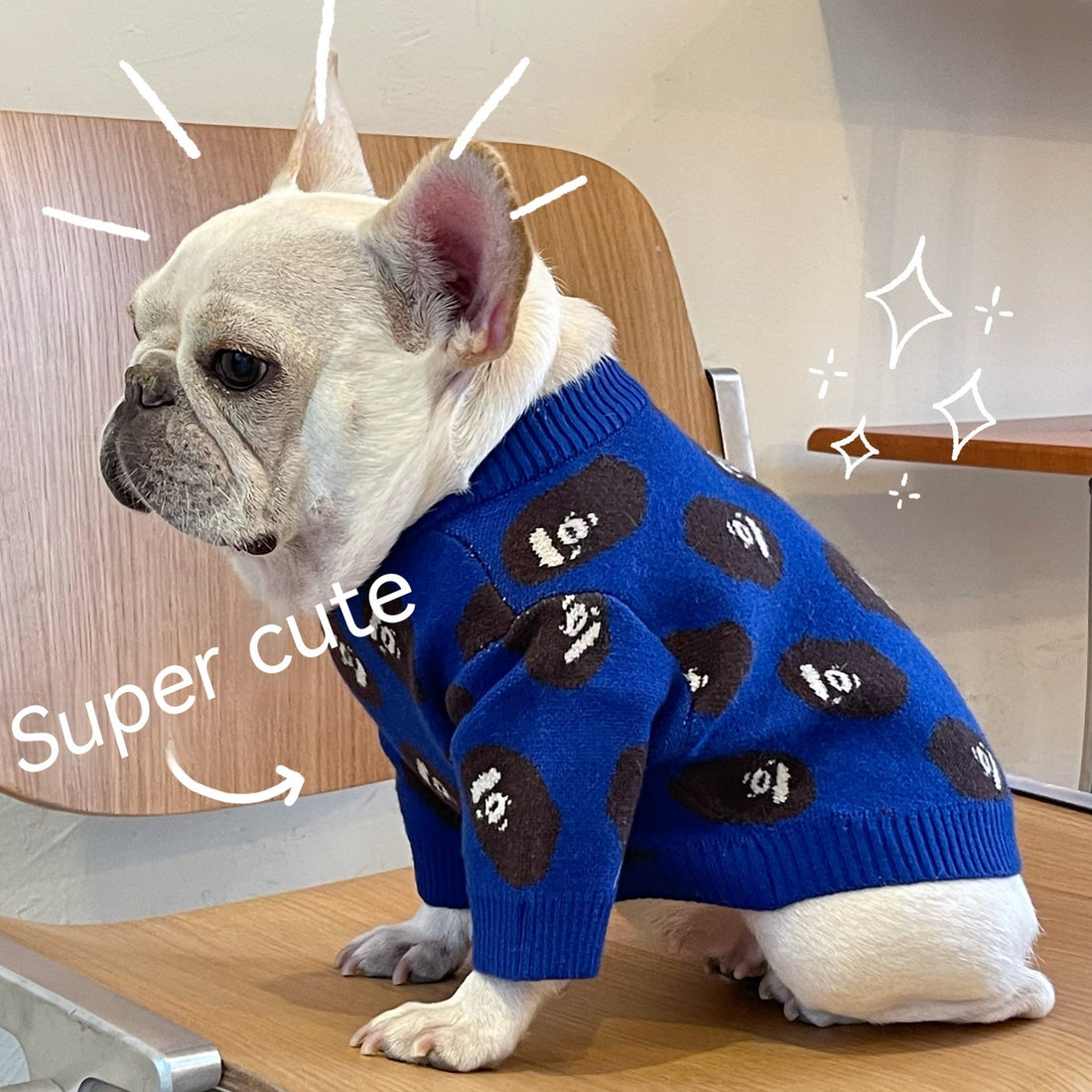 Pet Trendy Brand Popular Clothes
