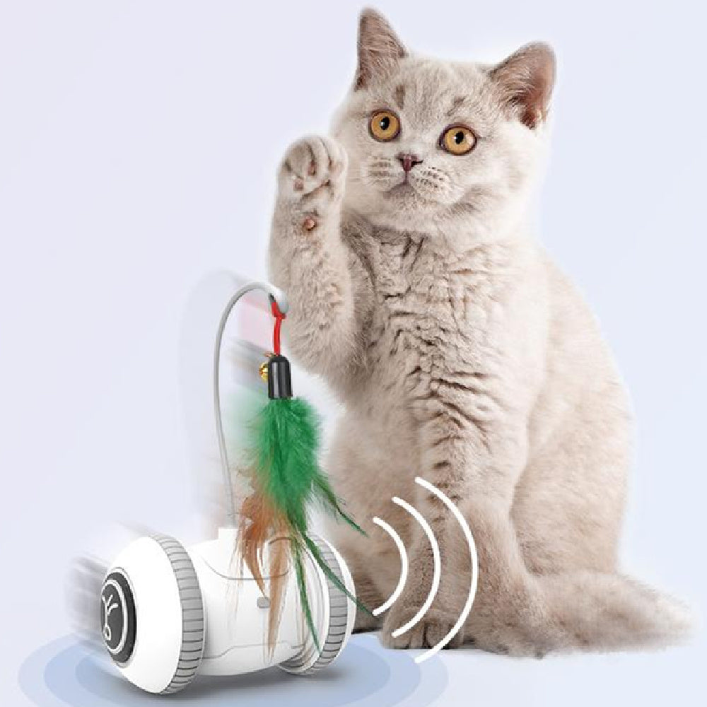 Interactive Cat Toy With Pet Feather Toys
