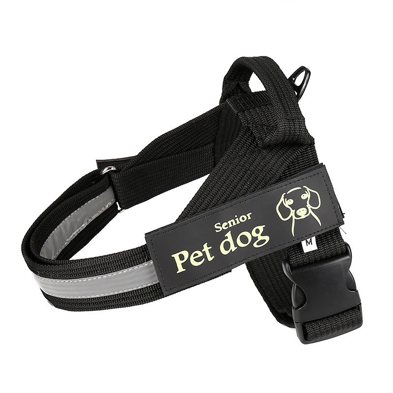 Dog Walking Chain Leash